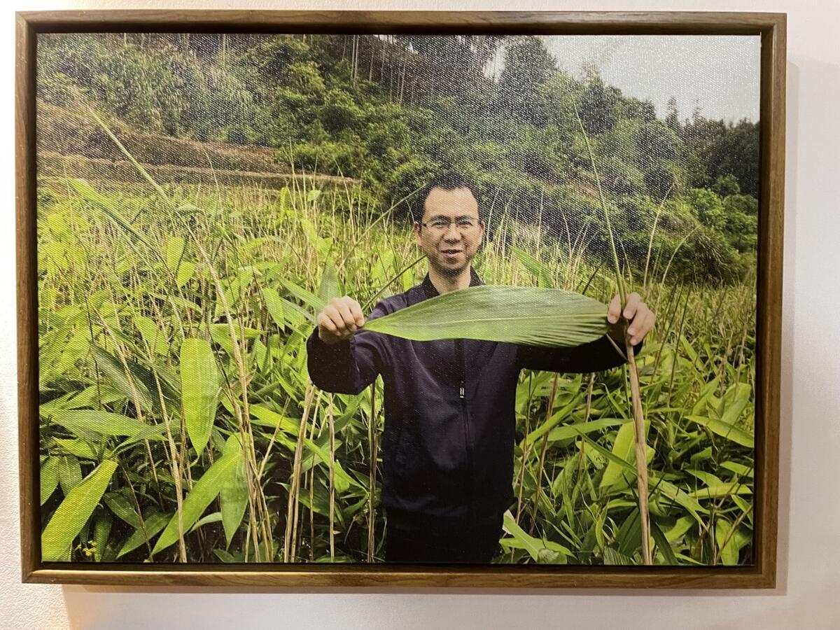 收入有望翻10倍 秀洲助力龙泉小乡村逆袭(图3)