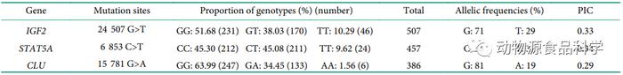 中国荷斯坦牛IGF2、CLU和STAT5A基因的多态性与牛乳品质的关系(图6)