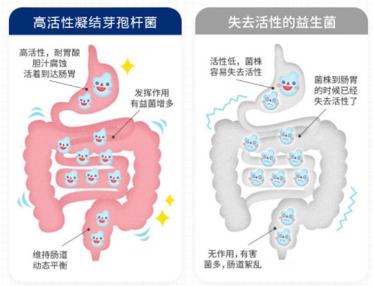 “活菌”酸奶一杯刷爆你朋友圈的手工酸奶(图1)