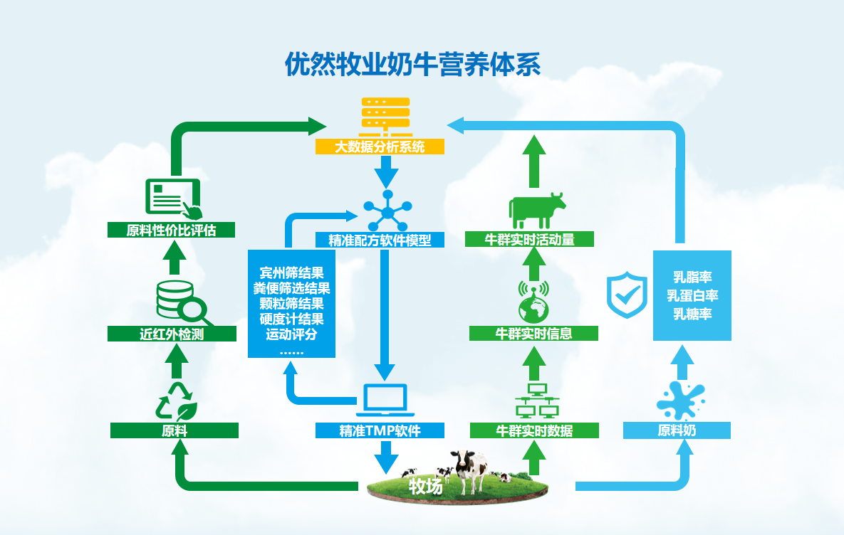 助力奶业振兴 自治区奶业龙头优然牧业反刍饲料销量破百万吨(图5)