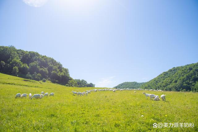 美力源乳业北纬34°黄金奶源，让每一罐奶粉都鲜活纯正(图2)