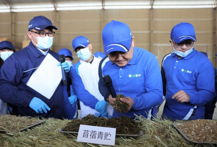 “中国奶业竞争力提升行动·数字奶牛金钥匙蒙牛专场”走进河北(图7)