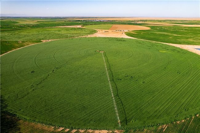 “令人难以置信!” 国际奥委会主席考文垂盛赞蒙牛乌兰布和治沙成果(图6) “令人难以置信!” 国际奥委会主席考文垂盛赞蒙牛乌兰布和治沙成果(图6)