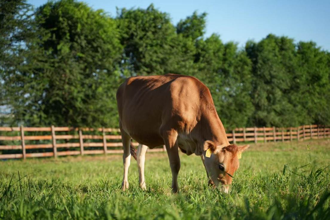 世界土壤日:朝日唯品发布《土壤白皮书》,20余年循环农作读懂土壤语言(图5) 世界土壤日:朝日唯品发布《土壤白皮书》,20余年循环农作读懂土壤语言