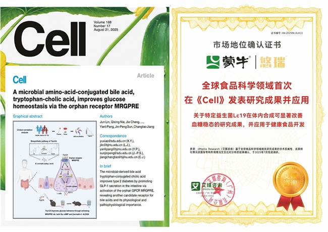 蒙牛2025年财报:全年收入822.4亿,经营现金流等指标创新高(图5) 蒙牛2025年财报:全年收入822.4亿,经营现金流等指标创新高(图5)