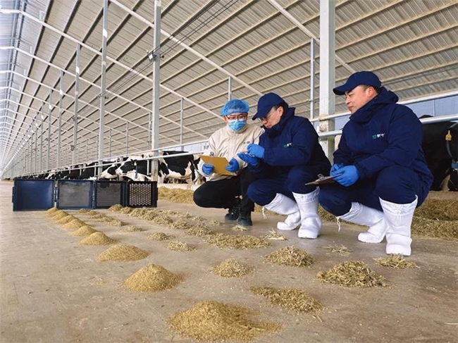 蒙牛2025年财报:全年收入822.4亿,经营现金流等指标创新高(图6) 蒙牛2025年财报:全年收入822.4亿,经营现金流等指标创新高(图6)